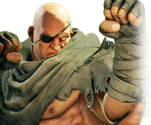 Sagat Character from Street Fighter 5: Arcade Edition